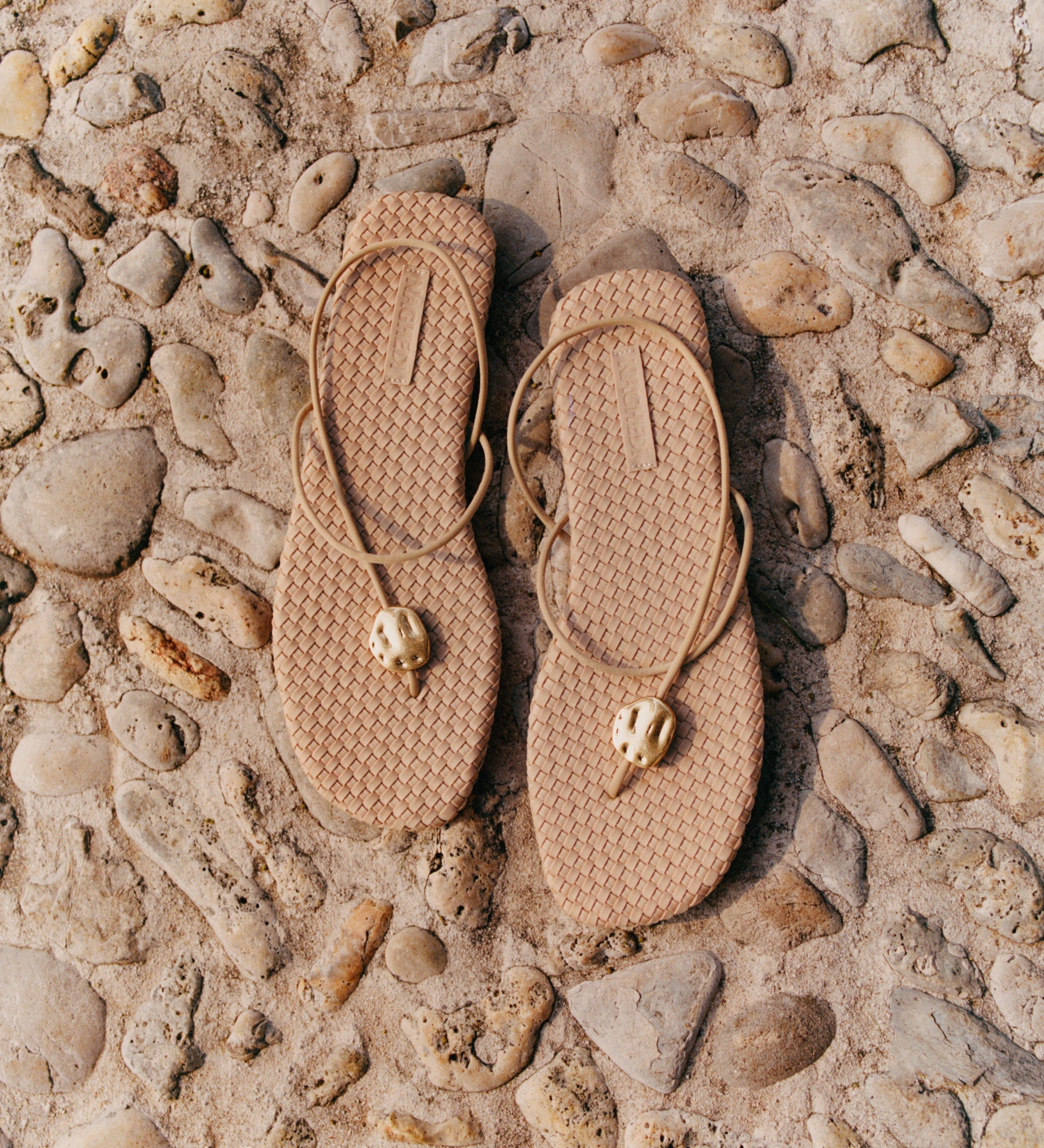 Cartolina - Gaia Sandal | Camel