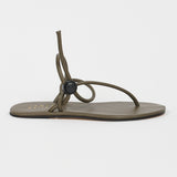 Jamie Haller - The String Theory in Olive