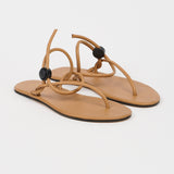 Jamie Haller - The String Theory in Camel