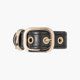 Jennifer Behr - Leather Buckle Pony Wrap