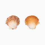Jennifer Behr - Deryn Earrings