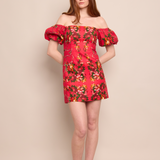 Cara Cara - Tully Mini Dress