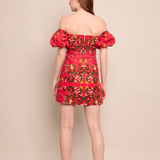 Cara Cara - Tully Mini Dress
