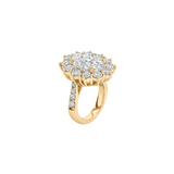 Dorsey - SPENCER RING IN MOISSANITE, GOLD VERMEIL