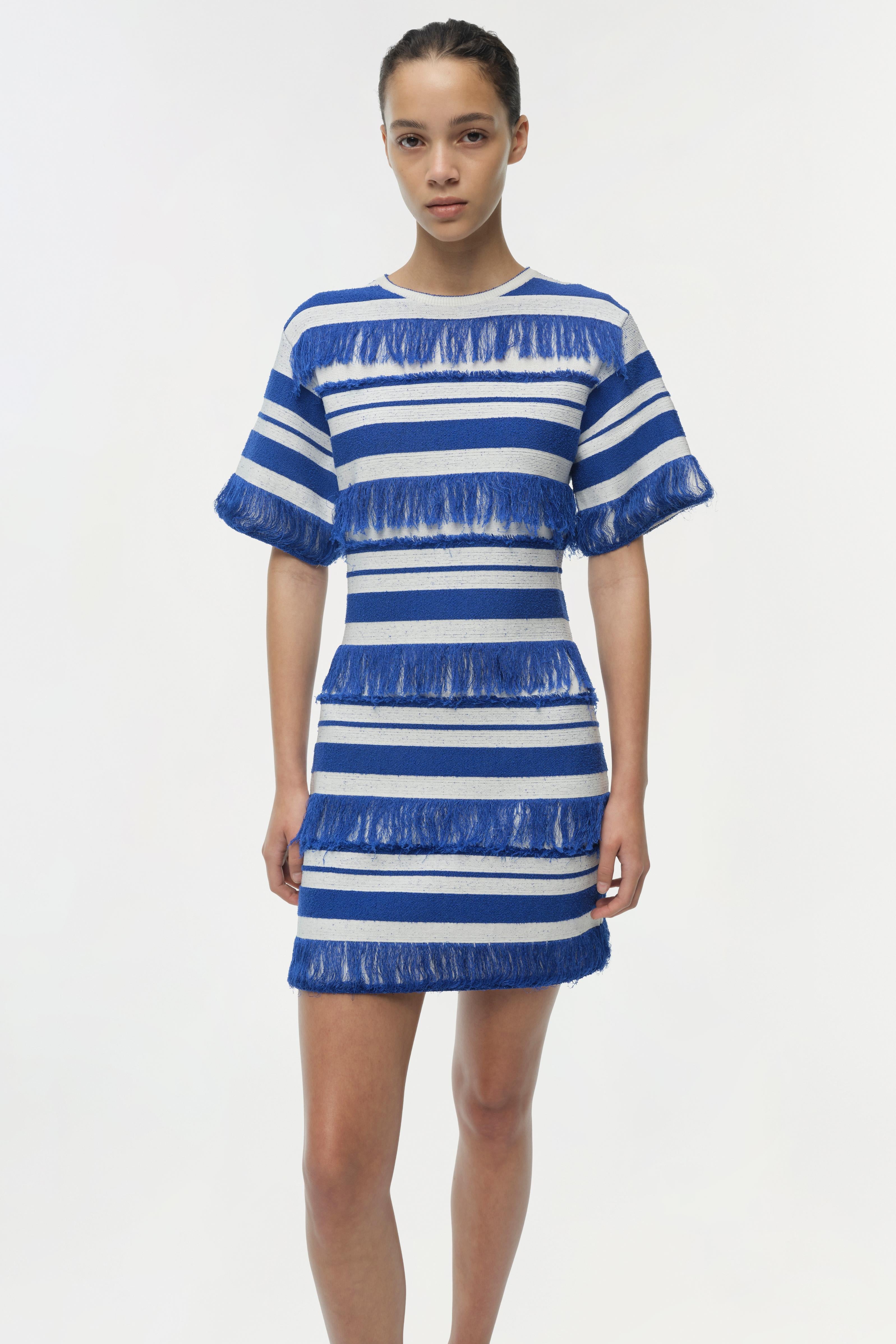 Blue and white striped knit mini dress with fringe trim detail and short sleeves.