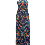 Cara Cara - Andes Dress