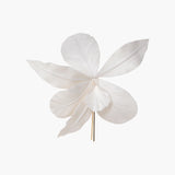 Jennifer Behr - Orchid Harpin -- Cream
