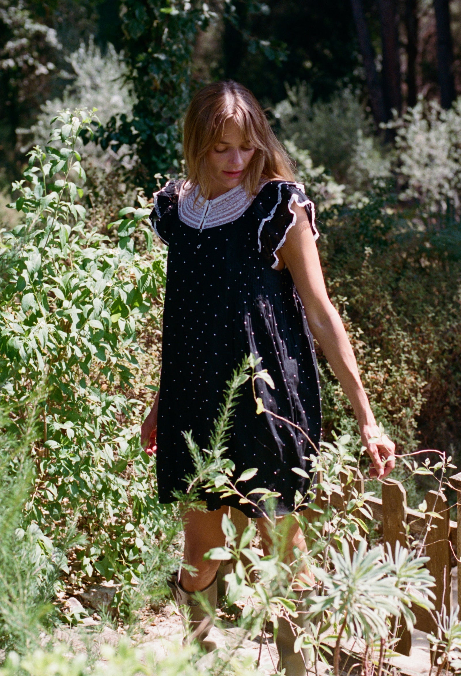 Slide image