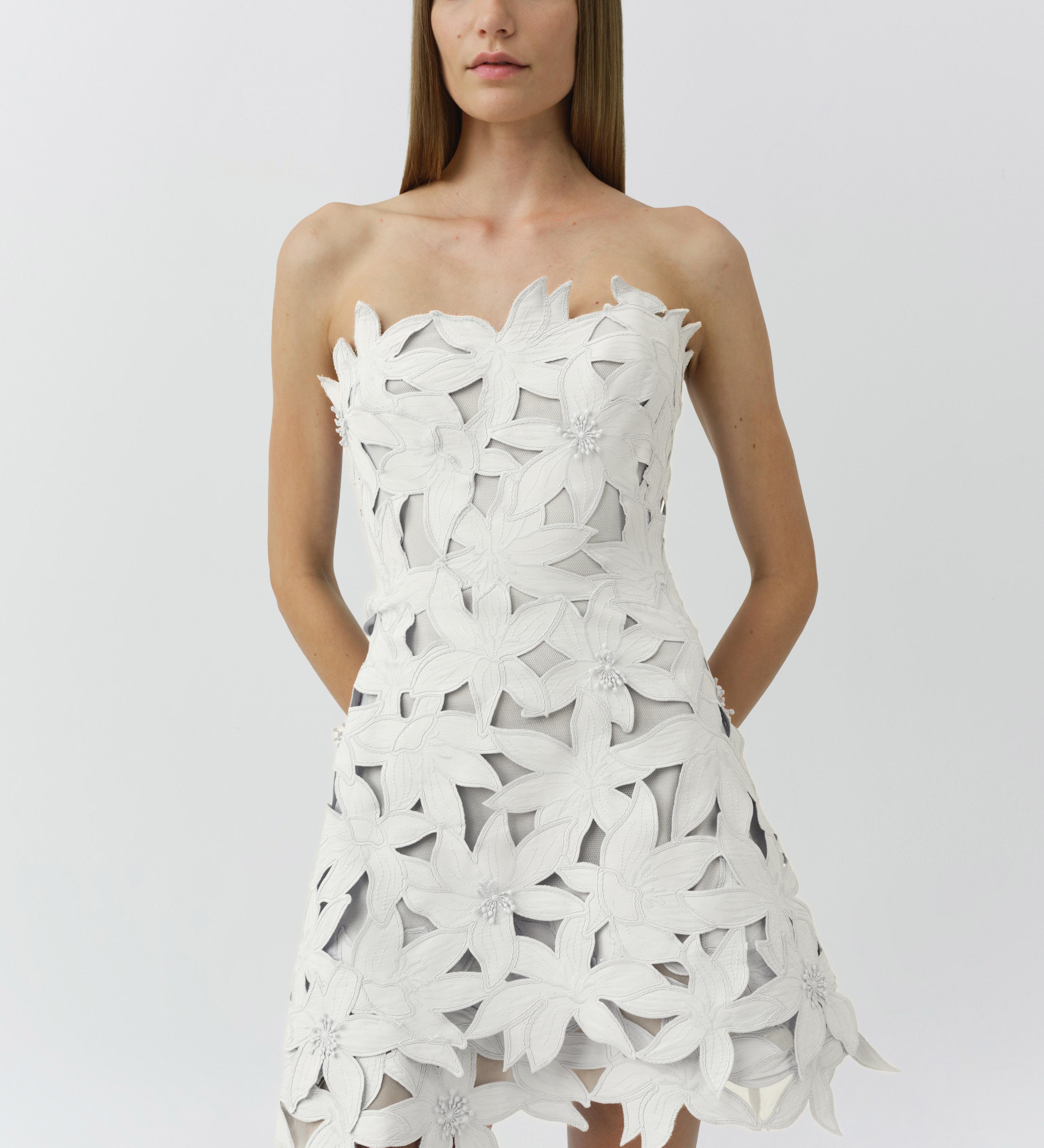 Simkhai - Miri Embroidered Cotton Bustier Mini Dress