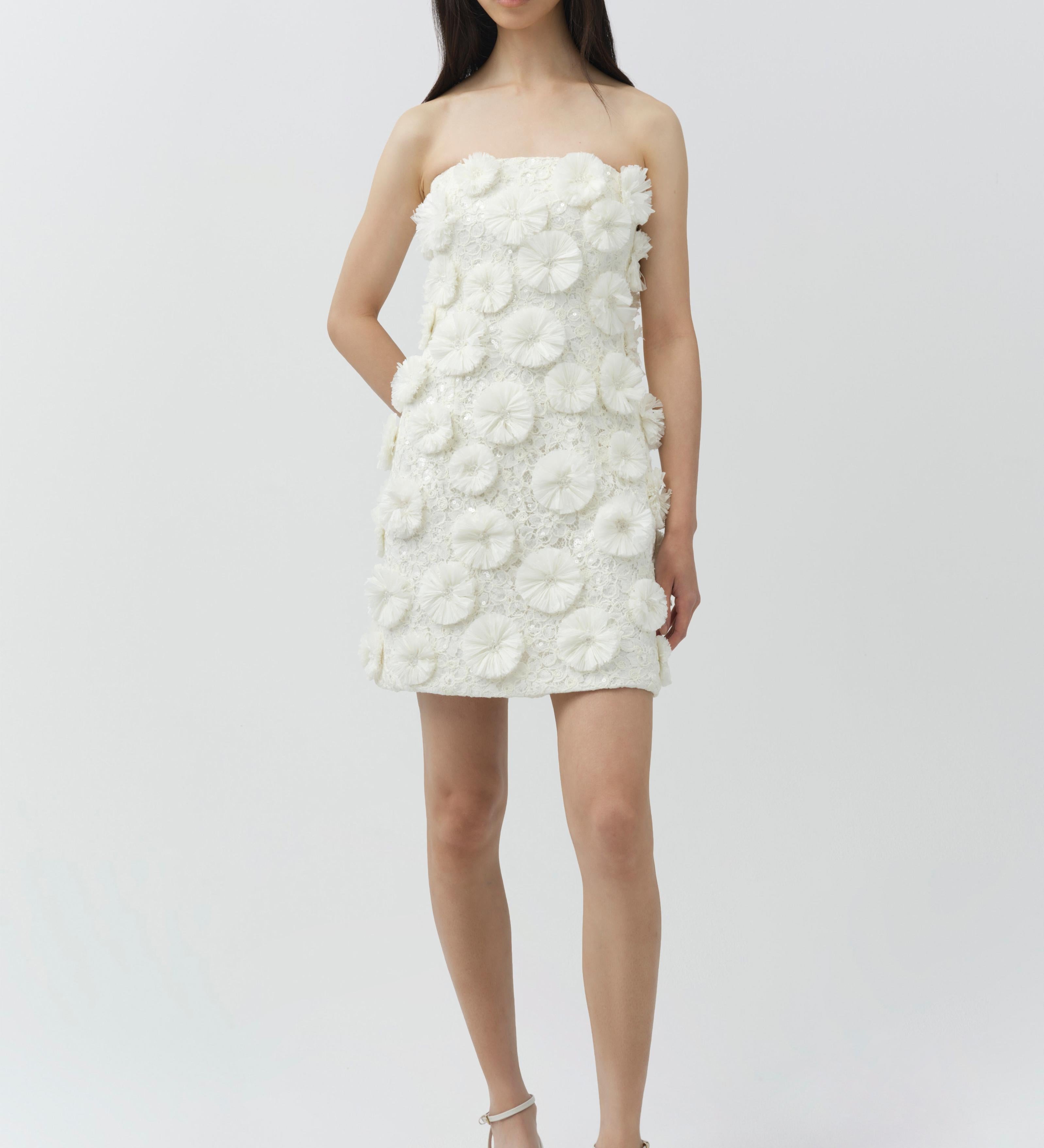 Simkhai - Holland Floral Raffia Bustier Mini Dress