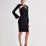 Aflalo - Lebella Dress in Silk