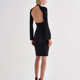 Aflalo - Lebella Dress in Silk