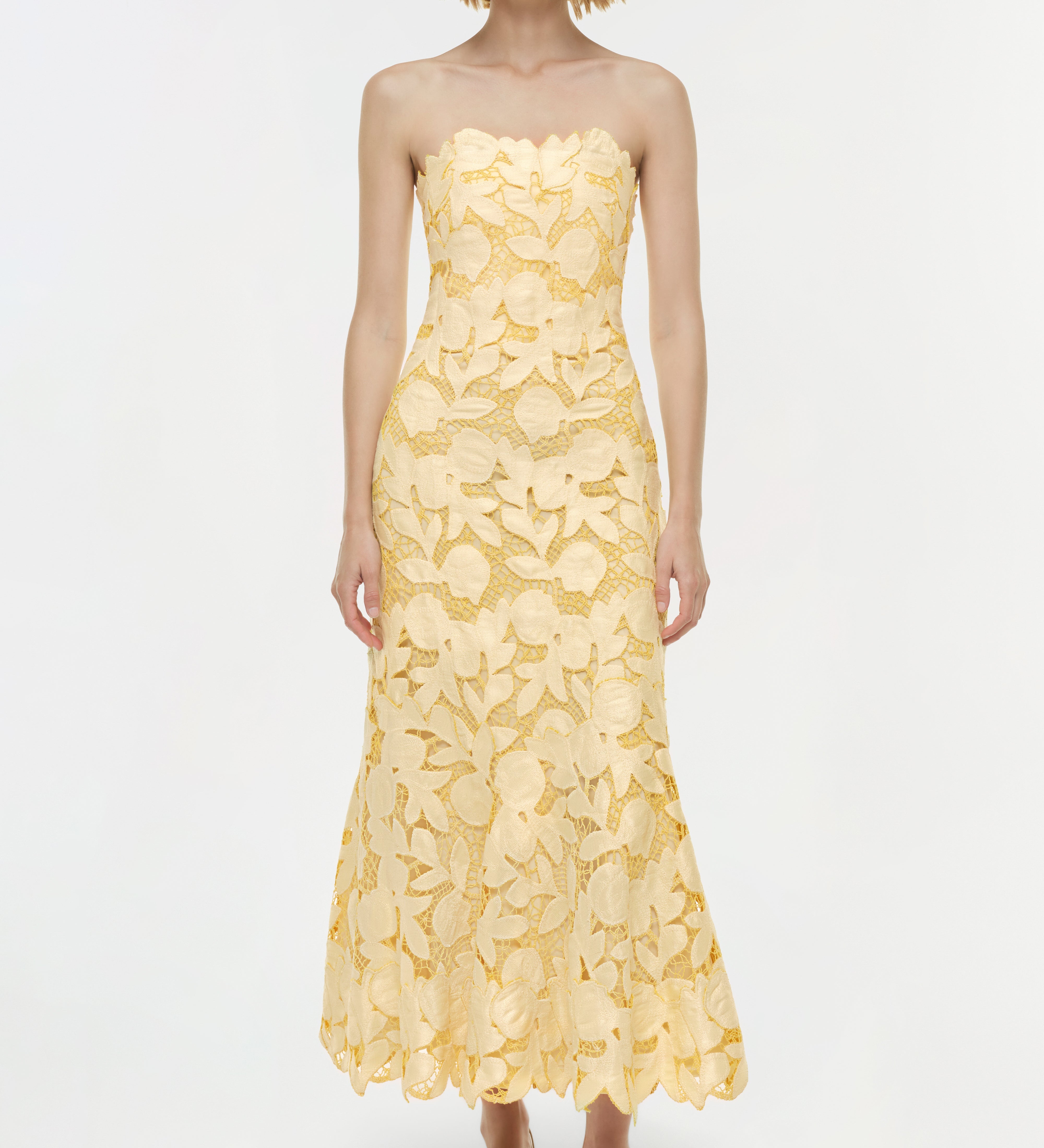 Simkhai - Valletta Strapless Embroidered Dress