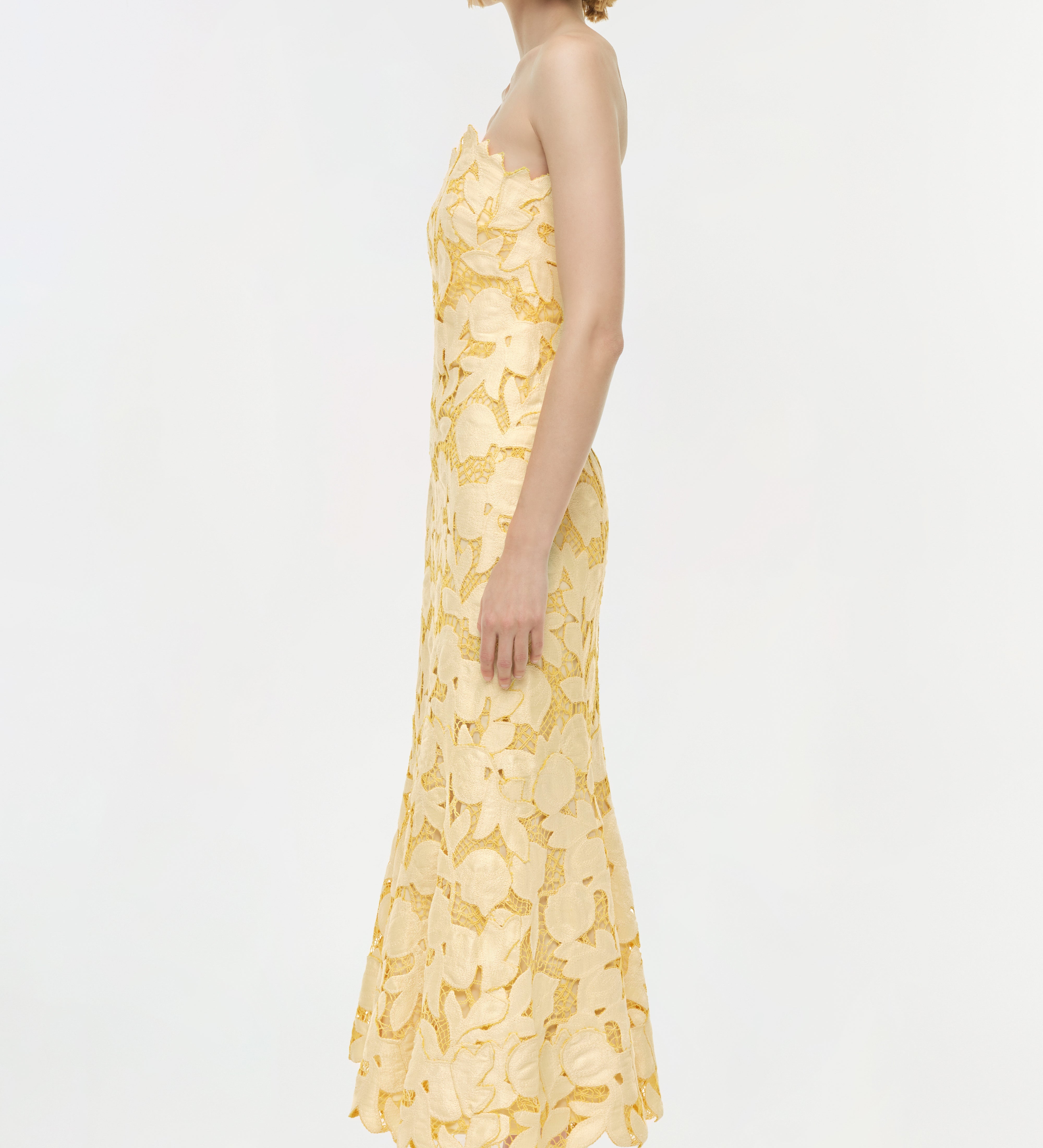 Simkhai - Valletta Strapless Embroidered Dress