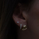 Kinn - Gaia Scallop Earrings Gold