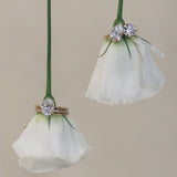 Kinn - The Annabelle Band