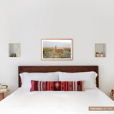 The Citizenry - Atacama Desert