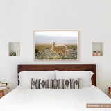 The Citizenry - Atacama Desert