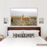 The Citizenry - Atacama Desert