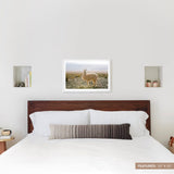 The Citizenry - Atacama Desert
