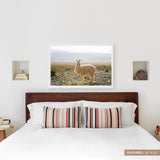 The Citizenry - Atacama Desert