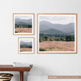 The Citizenry - Oaxaca .02