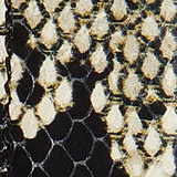 Khaite - Benny Belt in Natural Python-Embossed Leather with Antique Silver