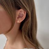 Kinn - Bébé Shell Stud Earrings