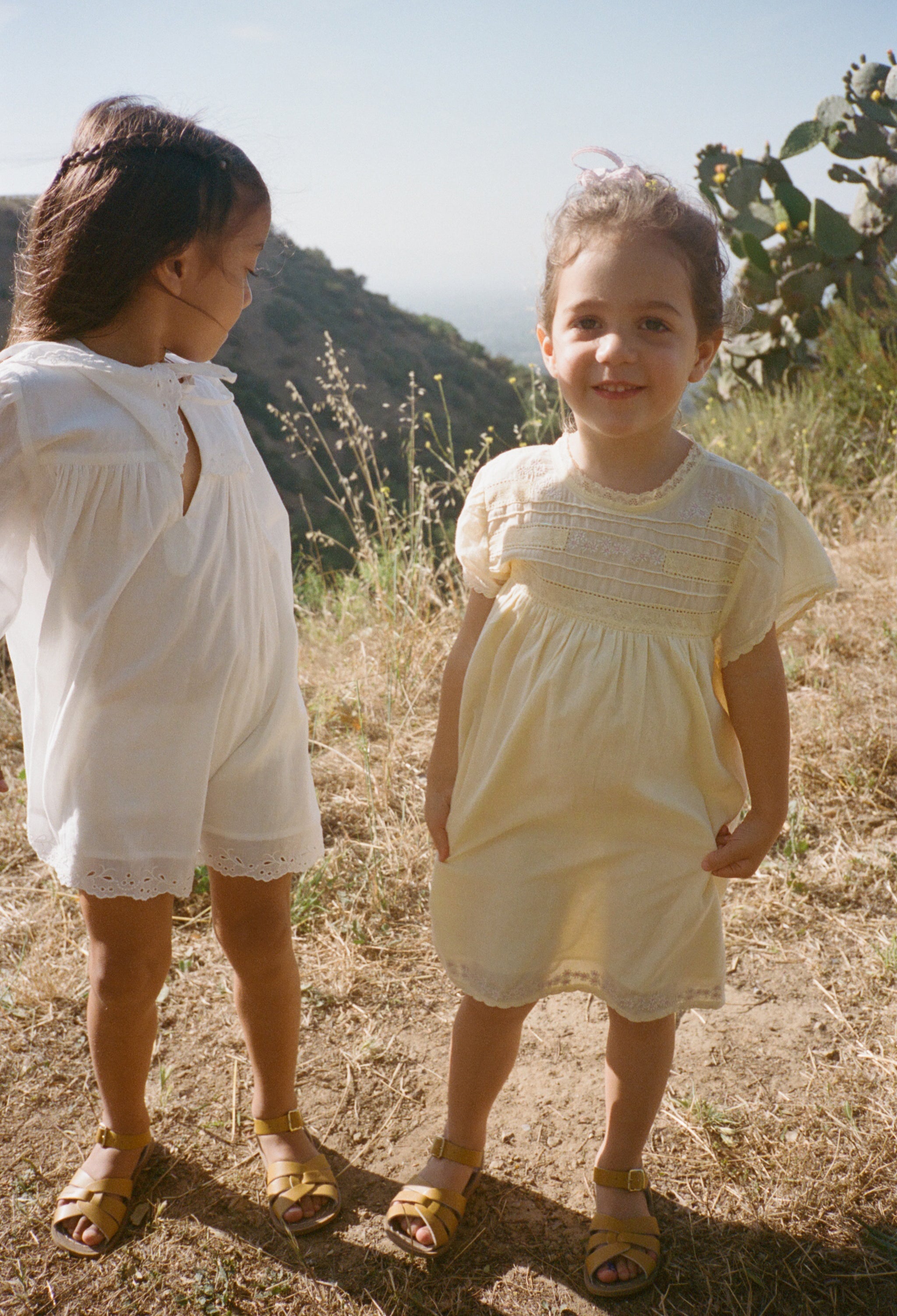Slide image