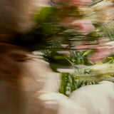 DOEN - CALANTHE DRESS - - CANDLELIGHT