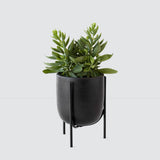 The Citizenry - Cantaro Pots - Multiple Sizes