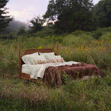 The Citizenry - Potomac Two Poster Bed