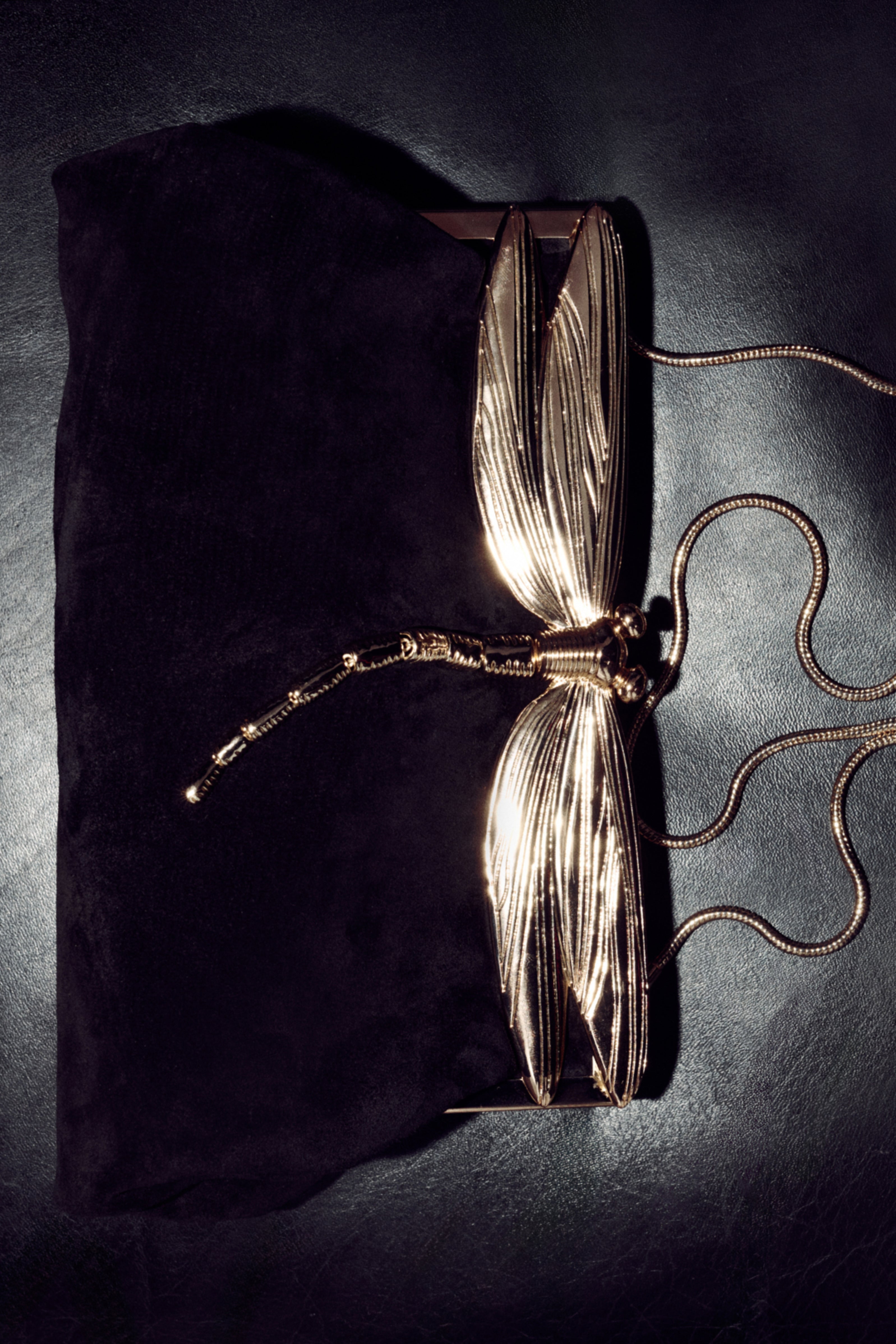 Simkhai - Lula Dragonfly Clutch