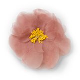 DOEN - DANI BARRETTE