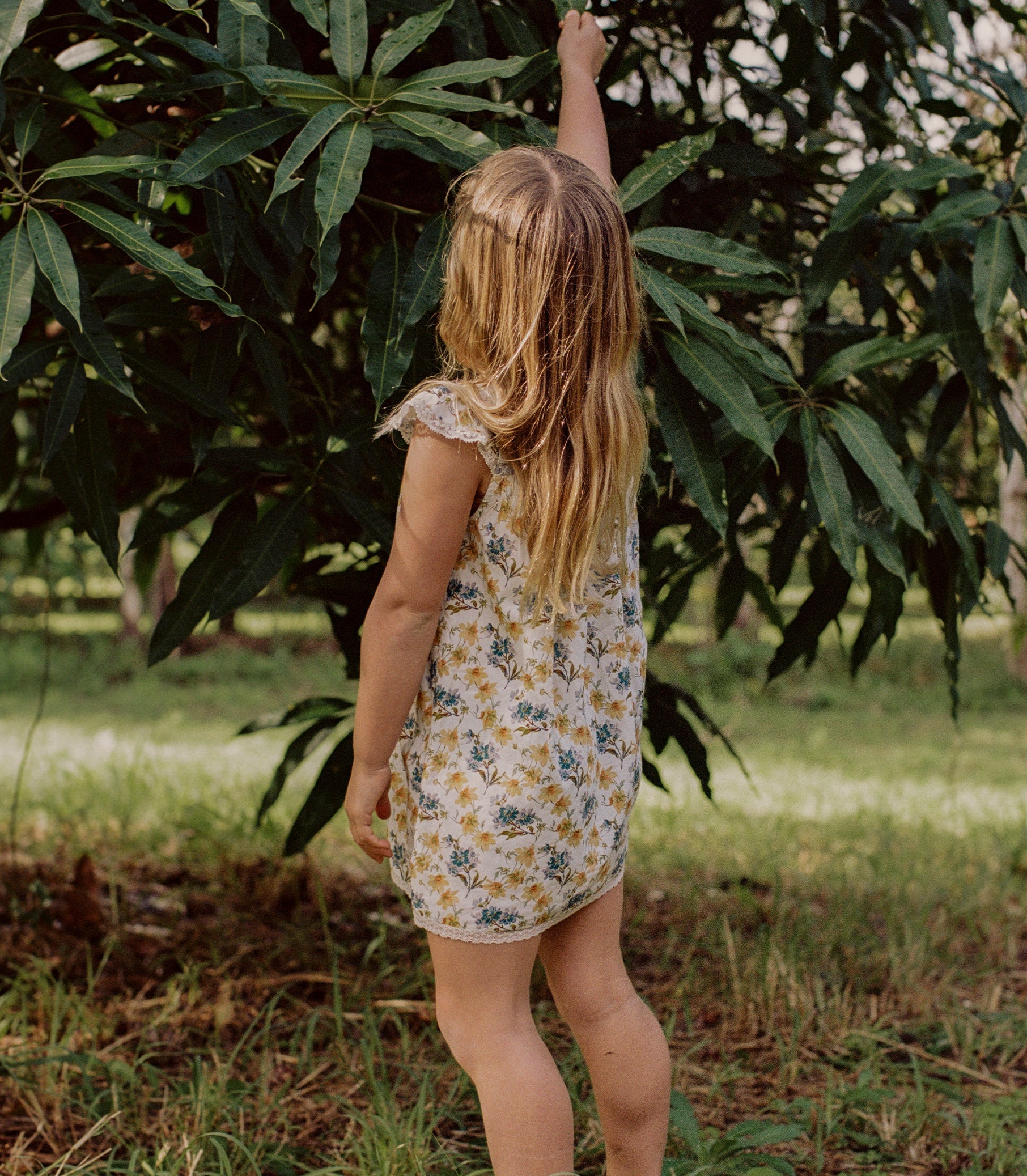 DOEN - DESSA DRESS - - NARCISSUS BLOOM