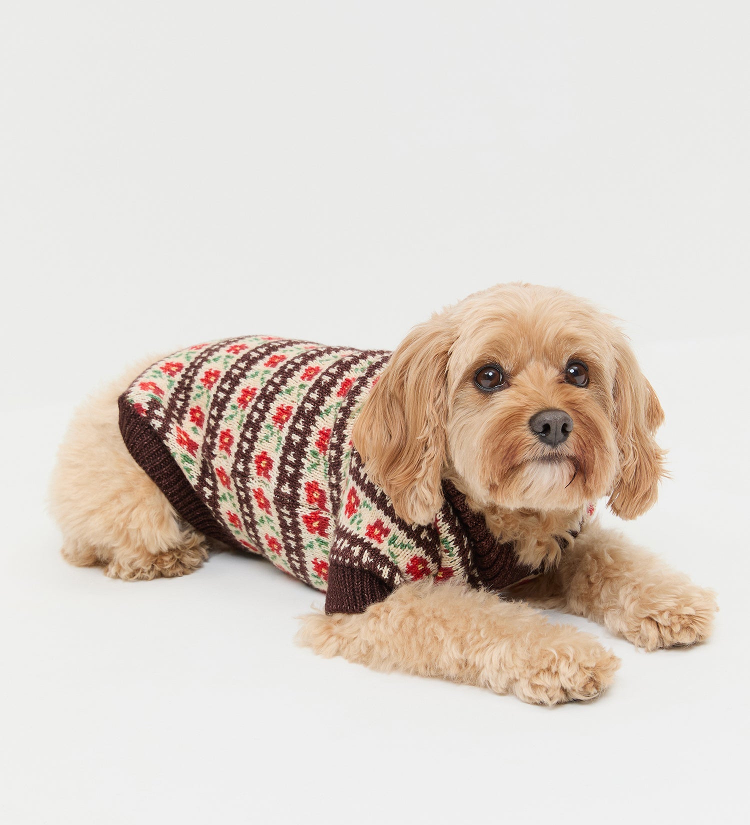 Loeffler Randall - Intarsia Dog Sweater