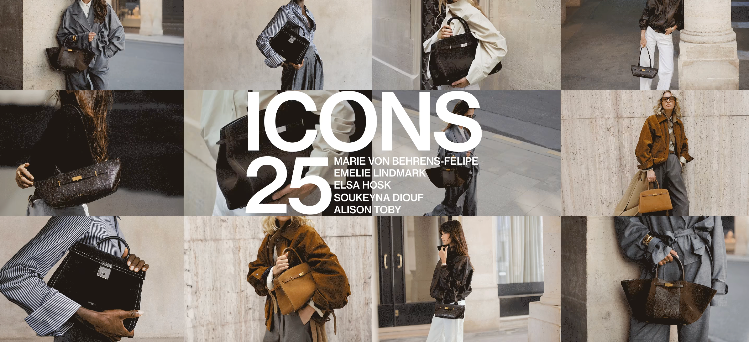 Demellier icons 25 collection