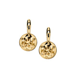 Dorsey - MAXWELL EARRINGS IN HONEY MOISSANITE