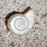 Simkhai - Marion Shell Clutch