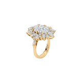 Dorsey - HOUGHTON RING IN MOISSANITE, GOLD VERMEIL