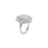 Dorsey - HOUGHTON RING IN MOISSANITE, STERLING SILVER