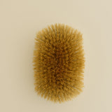 Kinn - Sterling Brush