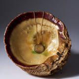 Jamie Haller - The Chaos Sunburst Necklace in Gold