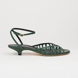 Jamie Haller - The Caged Kitty in Green Snake
