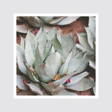 The Citizenry - Jardin