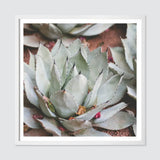 The Citizenry - Jardin