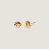 Kinn - Bébé Shell Stud Earrings