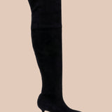 L'AGENCE - Clarin Over - the - Knee Boot