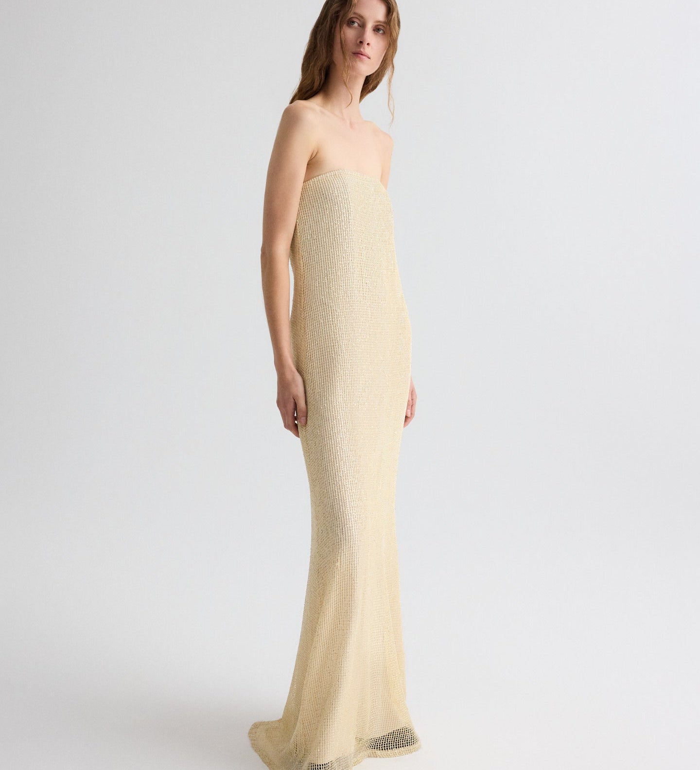 TWP - Carolyn's Gown in Mini Sequin Netting