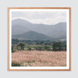 The Citizenry - Oaxaca .02